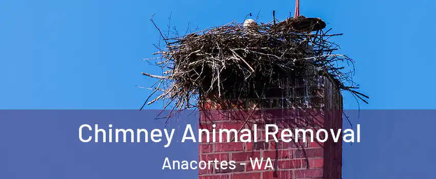 Chimney Animal Removal Anacortes - WA
