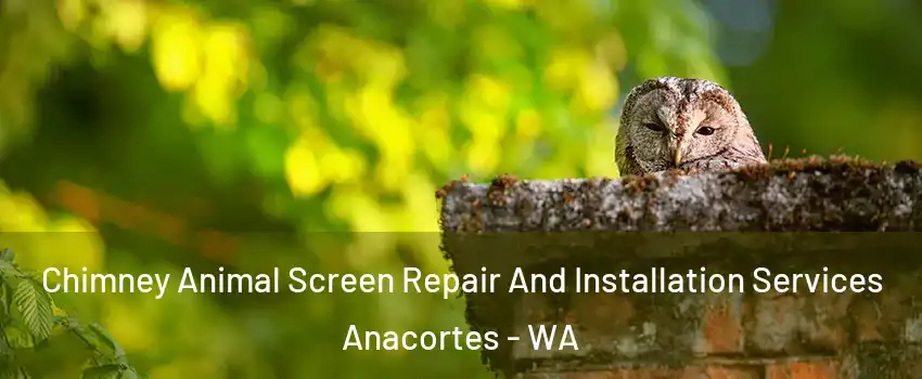  Chimney Animal Screen Repair And Installation Services Anacortes - WA