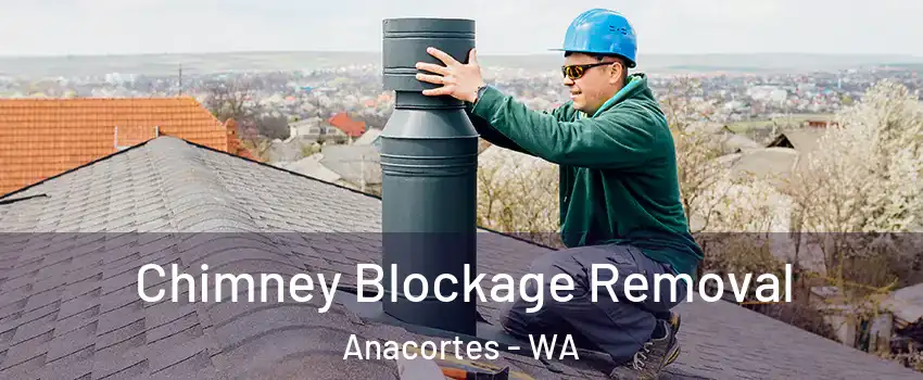  Chimney Blockage Removal Anacortes - WA