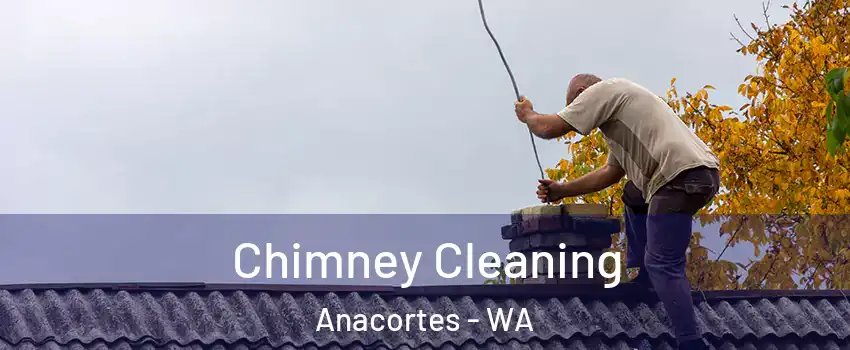  Chimney Cleaning Anacortes - WA