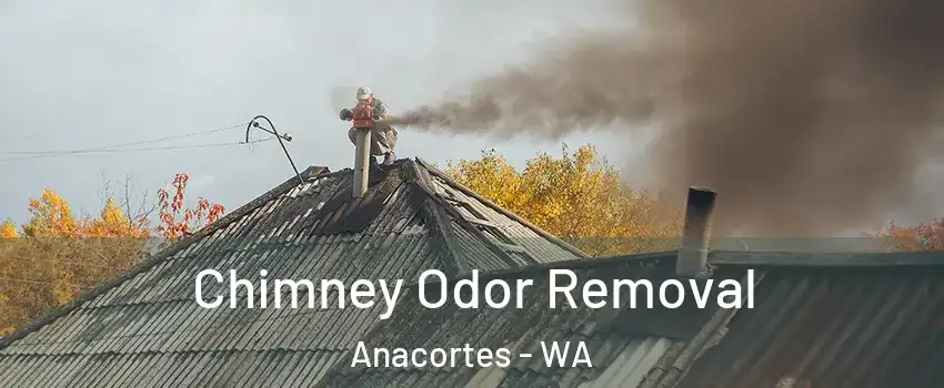  Chimney Odor Removal Anacortes - WA