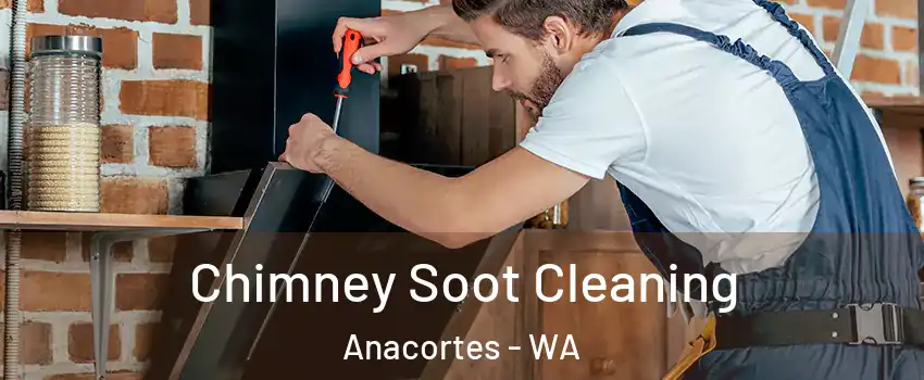  Chimney Soot Cleaning Anacortes - WA