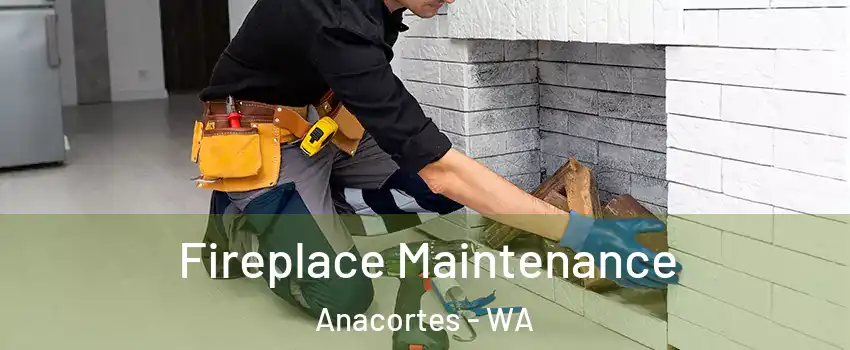  Fireplace Maintenance Anacortes - WA