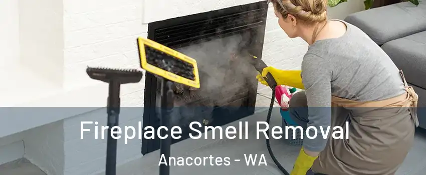  Fireplace Smell Removal Anacortes - WA