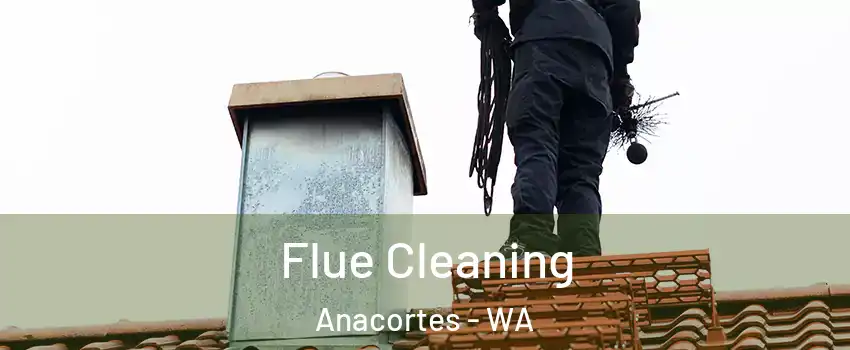  Flue Cleaning Anacortes - WA