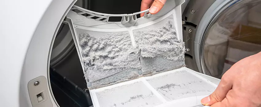 Best Dryer Lint Removal Company in Anacortes, Washington