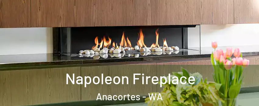  Napoleon Fireplace Anacortes - WA